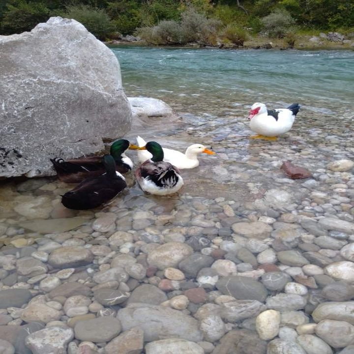 Rafting Neretva Konjic Rafting Neretva Konjic